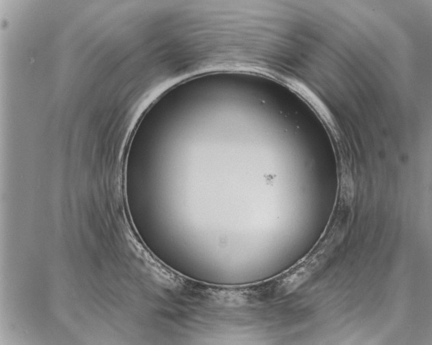 X0000086881004200704231058