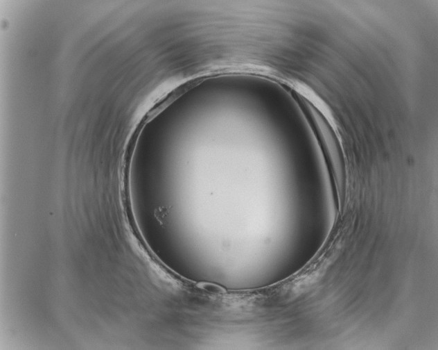 X0000086881005200704231058