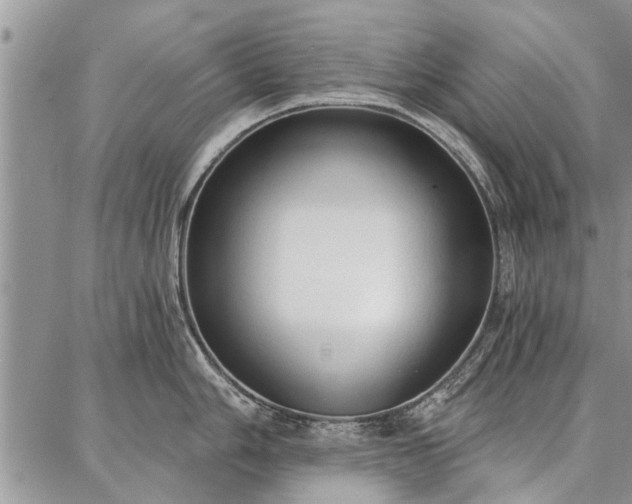 X0000086881006200704231058