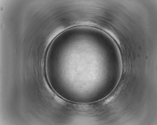 X0000086881007200704231058