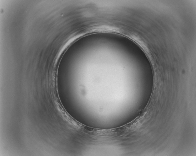 X0000086881008200704231058