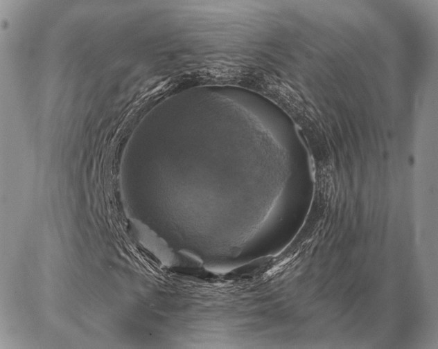 X0000086881009200704231057