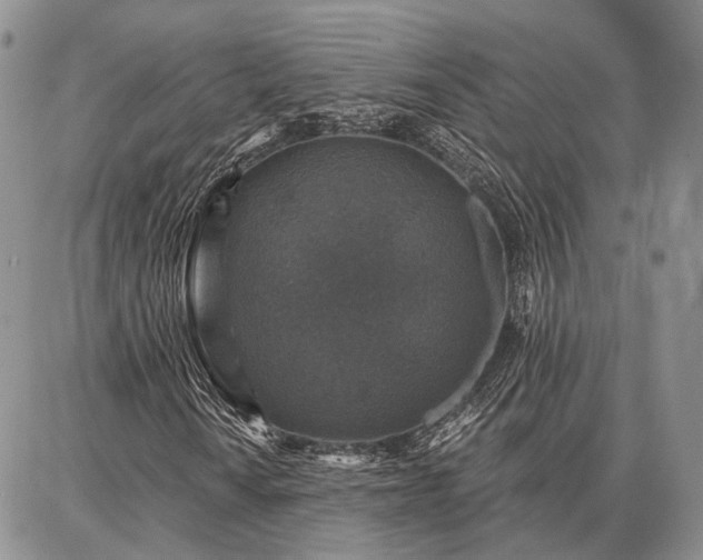 X0000086881010200704231057