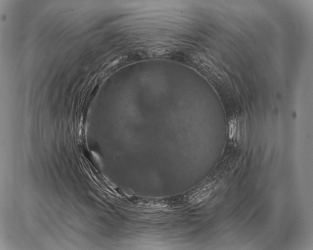 X0000086881011200704231057