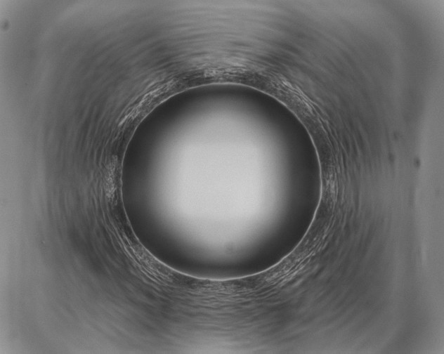 X0000086881012200704231057