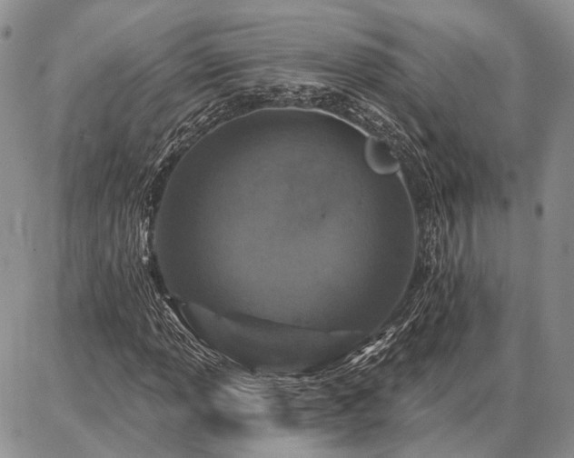 X0000086881013200704231057