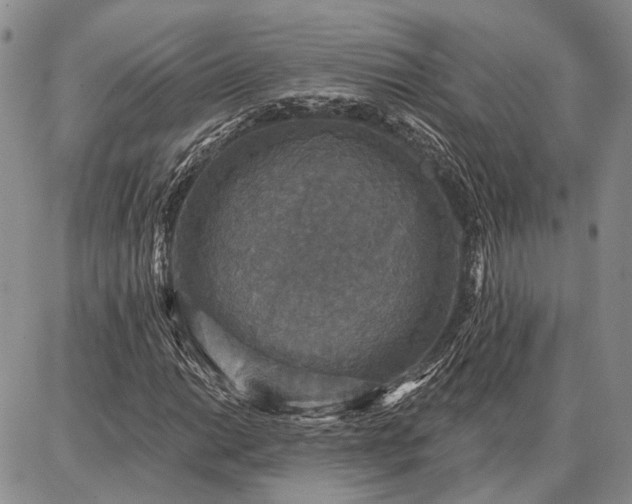 X0000086881014200704231057