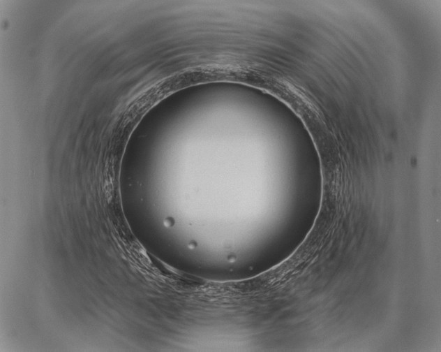 X0000086881015200704231057