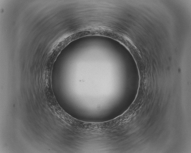 X0000086881016200704231057