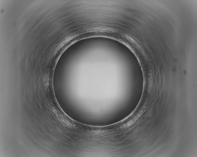 X0000086881017200704231057