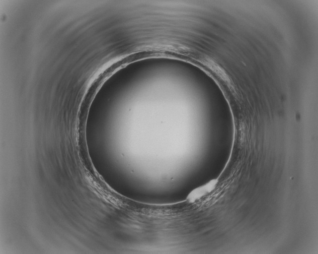 X0000086881020200704231057