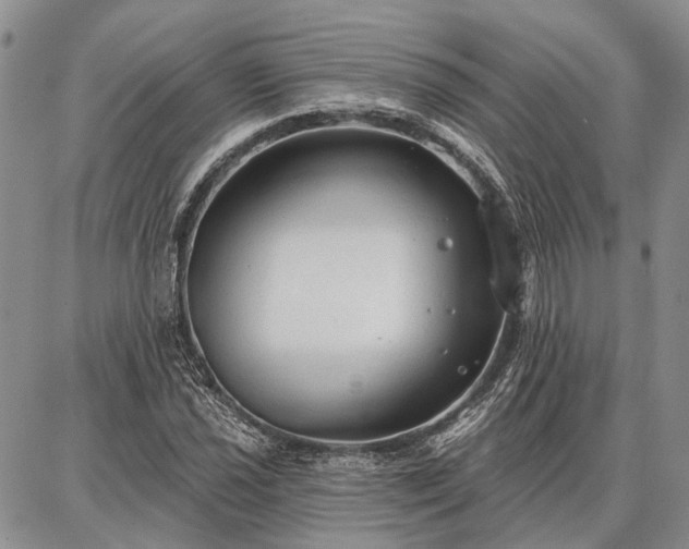 X0000086881021200704231057