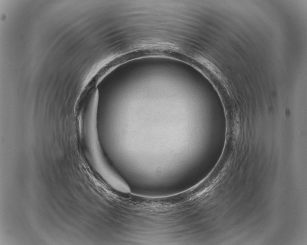 X0000086881022200704231057