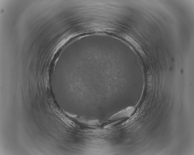 X0000086881023200704231057