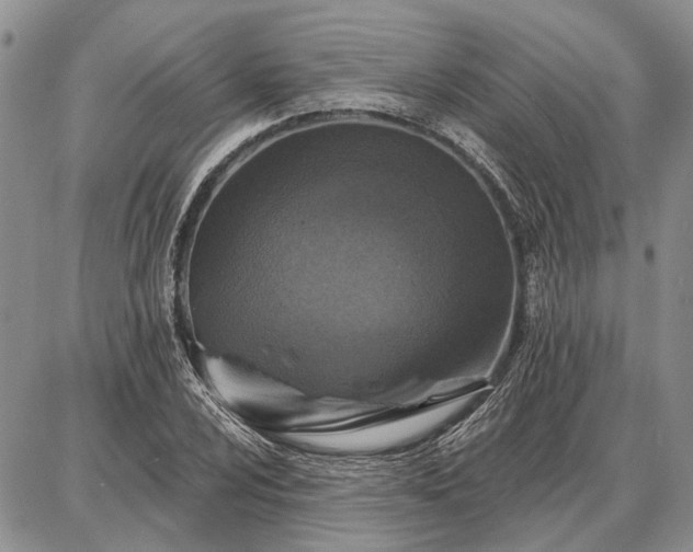 X0000086881024200704231057