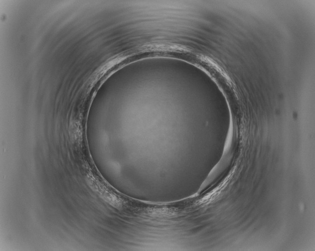 X0000086881025200704231057