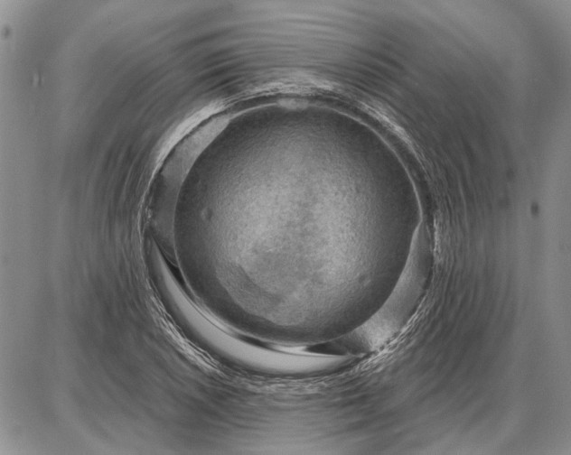 X0000086881026200704231057