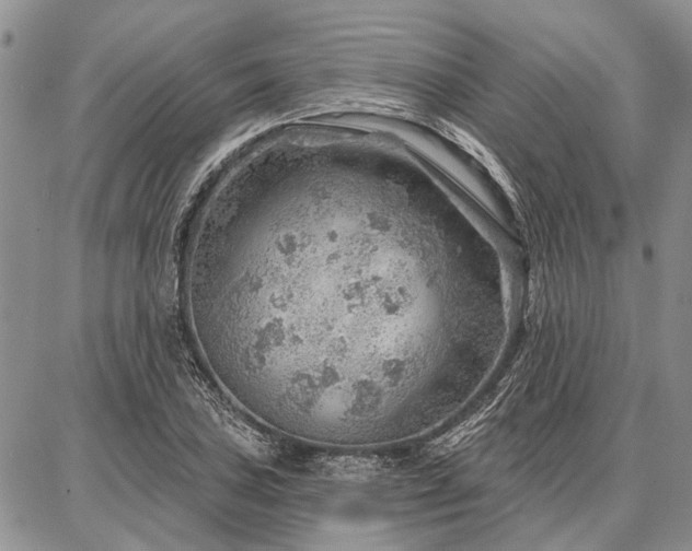 X0000086881027200704231058