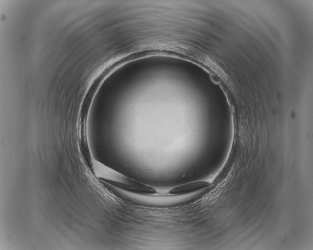 X0000086881028200704231058