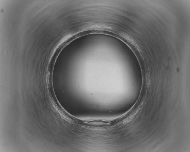 X0000086881029200704231058