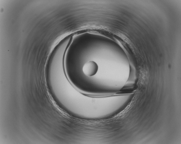 X0000086881030200704231058