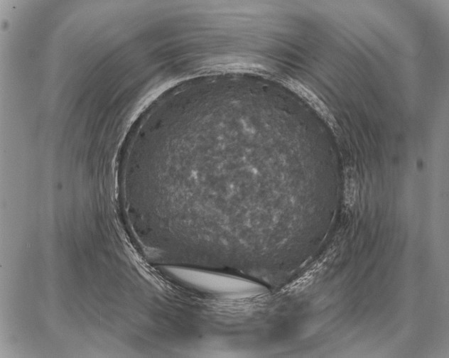 X0000086881031200704231058