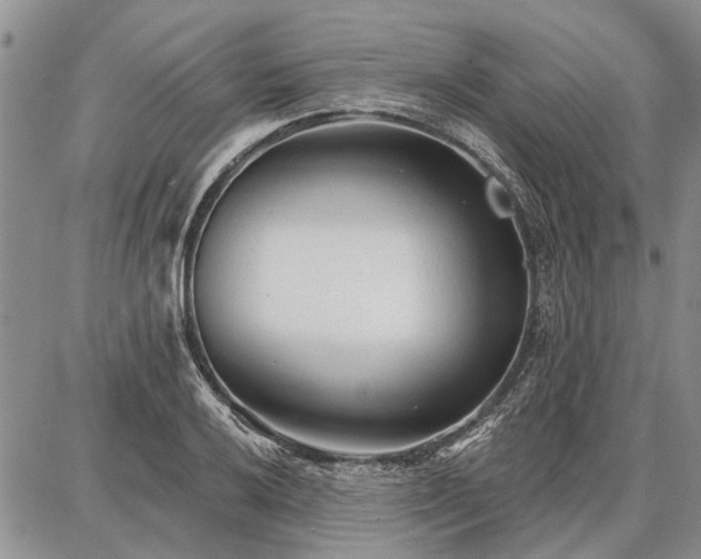 X0000086881032200704231058