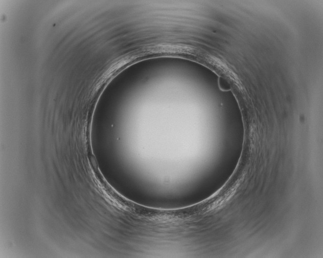 X0000086881033200704231058