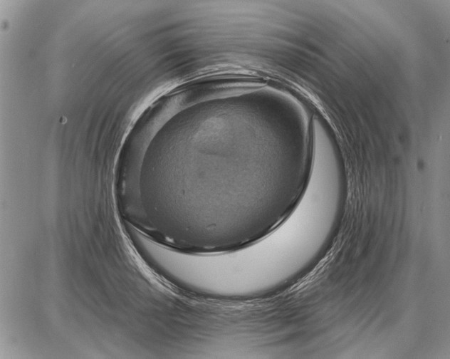 X0000086881034200704231058