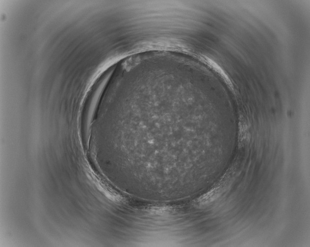 X0000086881035200704231058