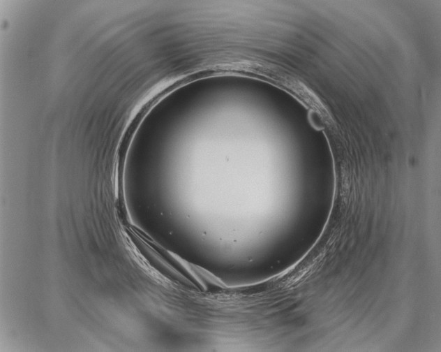 X0000086881036200704231058