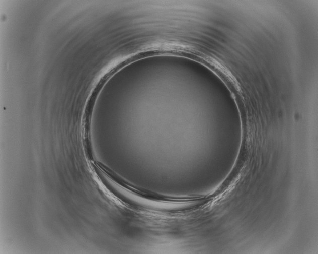 X0000086881037200704231058