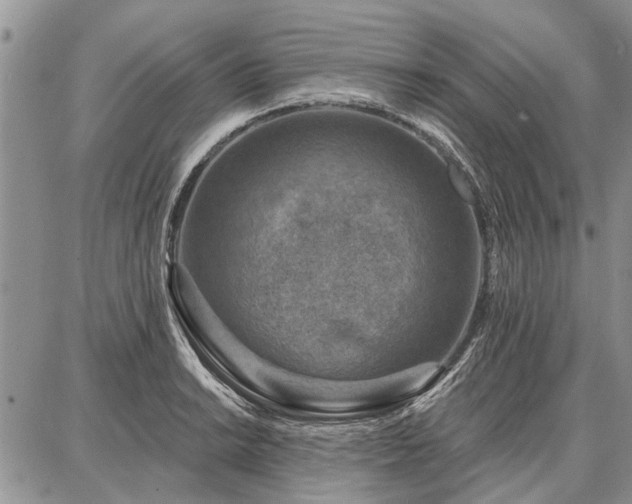 X0000086881038200704231058