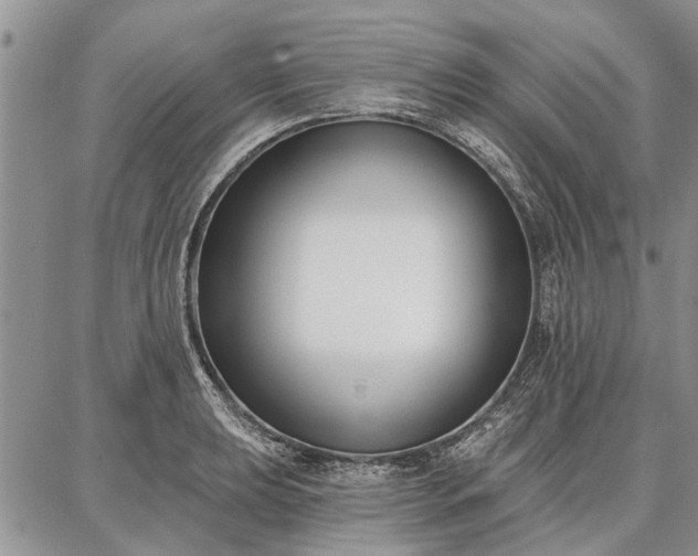 X0000086881039200704231058