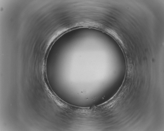 X0000086881040200704231058