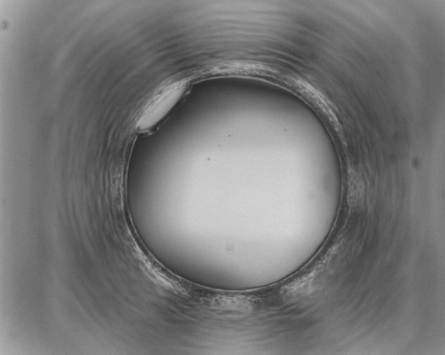 X0000086881041200704231058