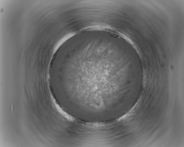 X0000086881042200704231058