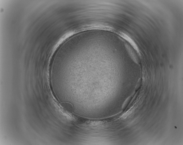 X0000086881043200704231058