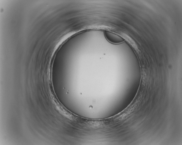 X0000086881044200704231058