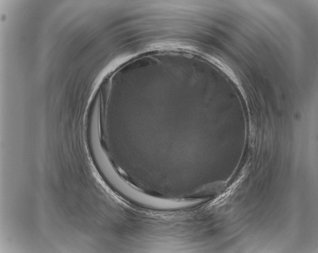 X0000086881045200704231058