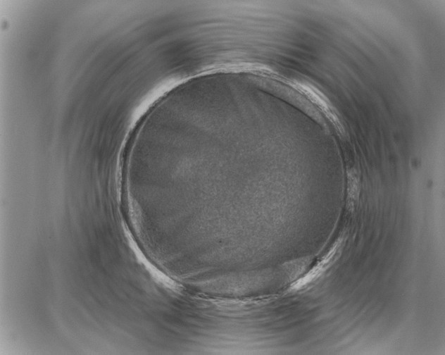 X0000086881046200704231058