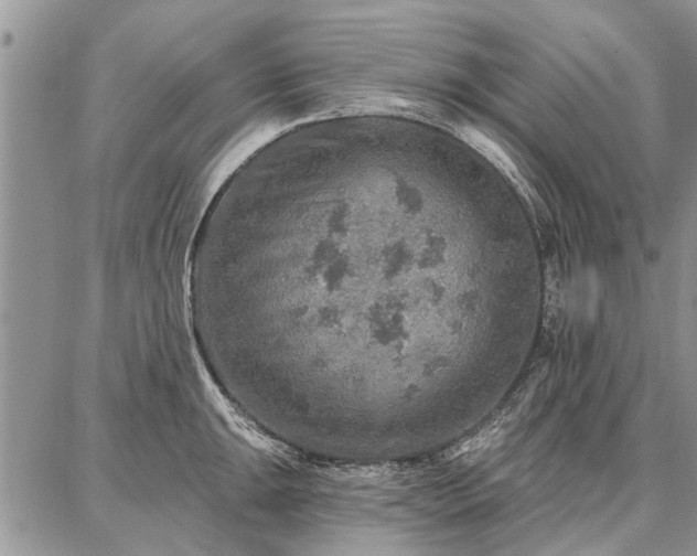 X0000086881047200704231058