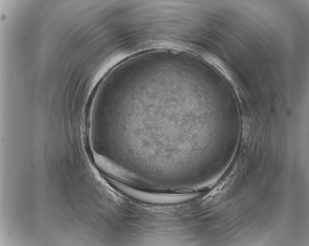 X0000086881048200704231058