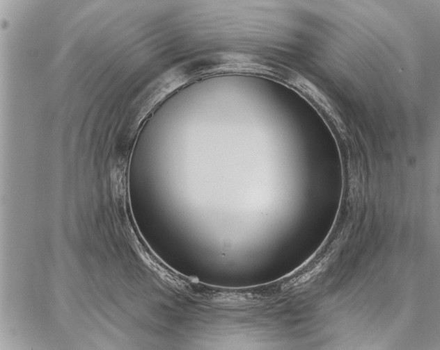 X0000086881049200704231058