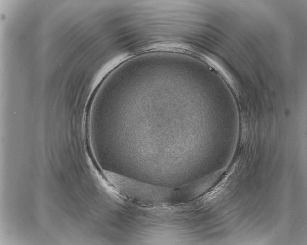 X0000086881050200704231058