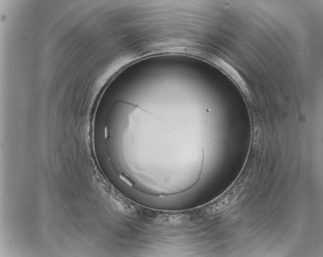 X0000086881051200704231058