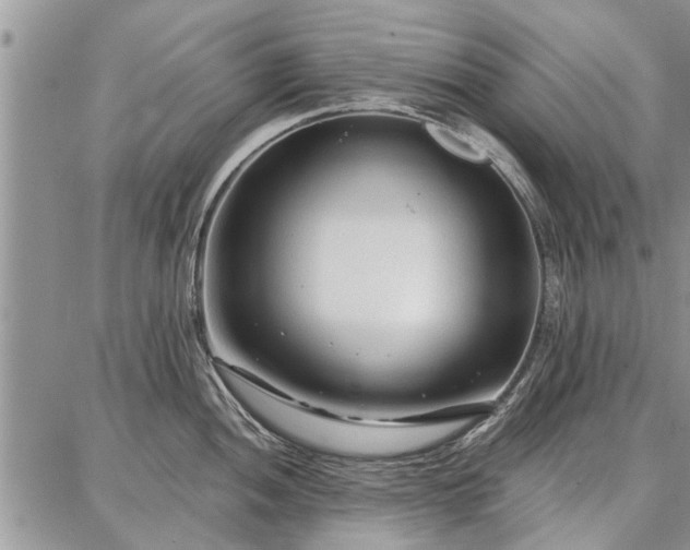 X0000086881052200704231058