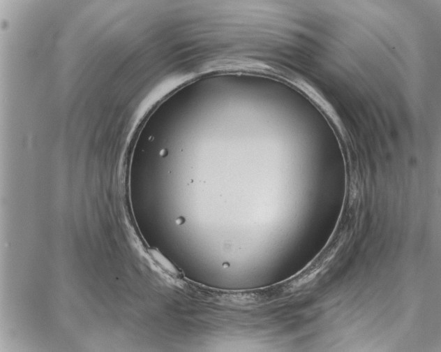 X0000086881053200704231058