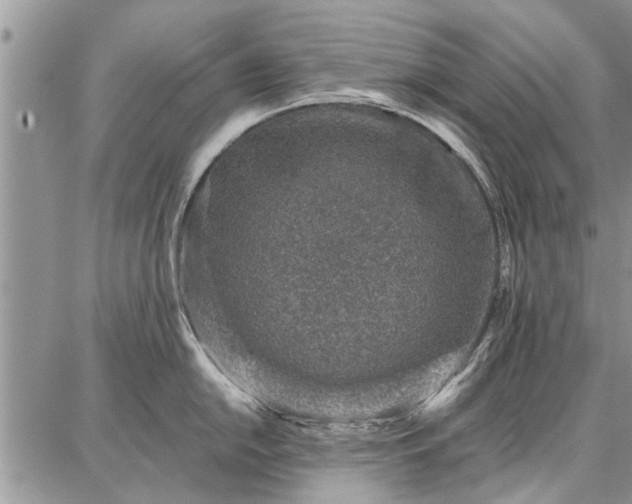 X0000086881054200704231058