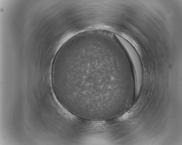 X0000086881055200704231058